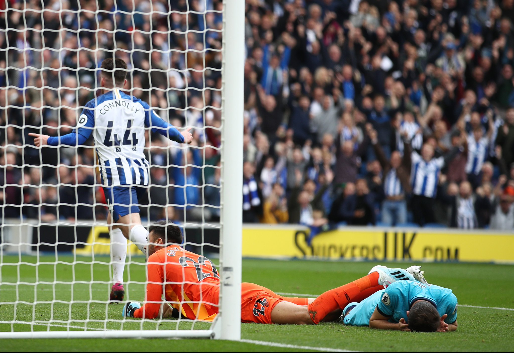 们的计划 们的计划